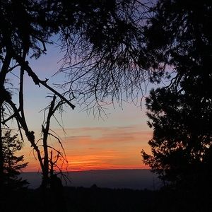 Meet your Posher, Savannah